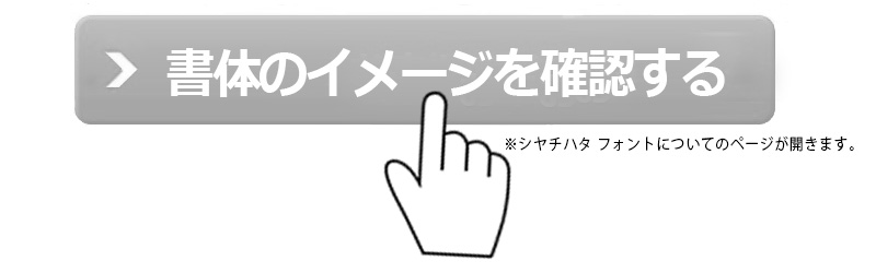 【シャチハタ】ネーム印 ネーム9 別注品